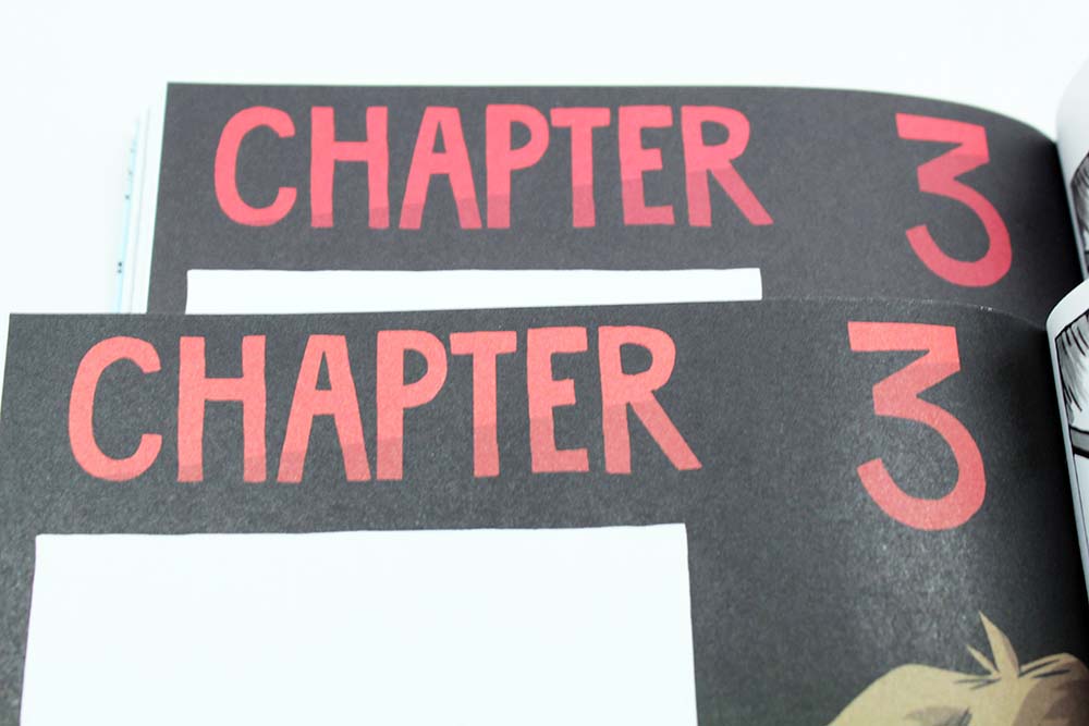 Example of Color Variance in Offset Printing