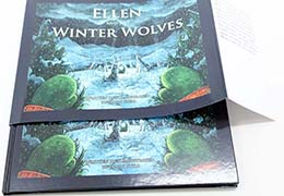Used to protect your cover and provide the reader with another piece of art.